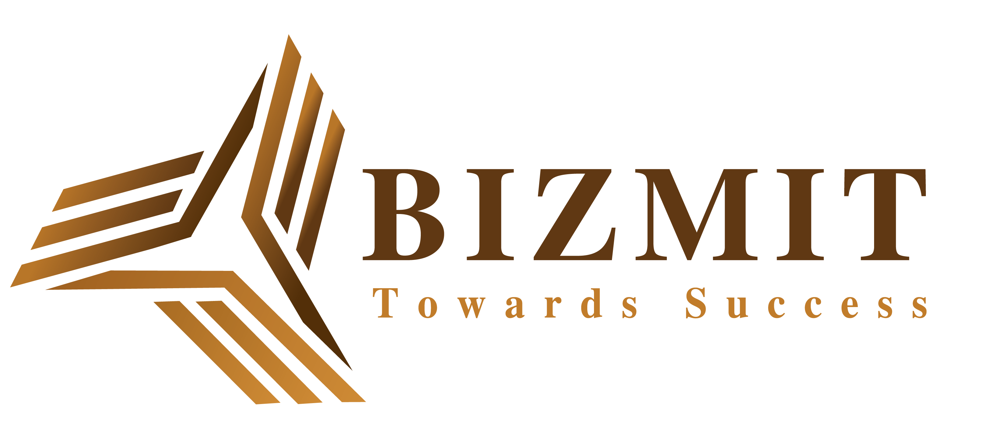 BIZMIT — Towards Success